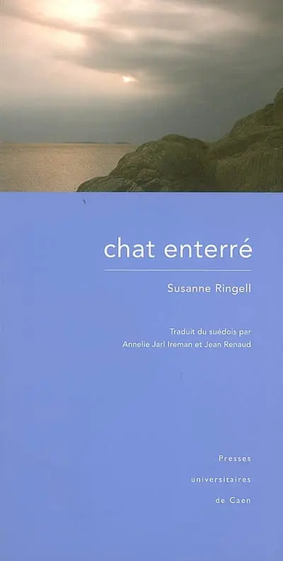 Chat enterré