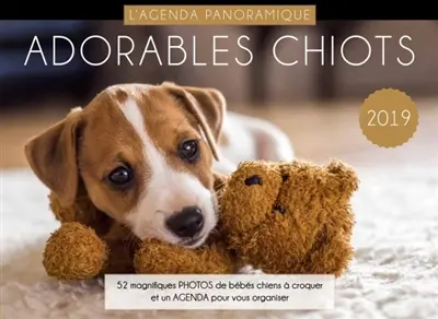 Adorables chiots 2019 : l'agenda panoramique