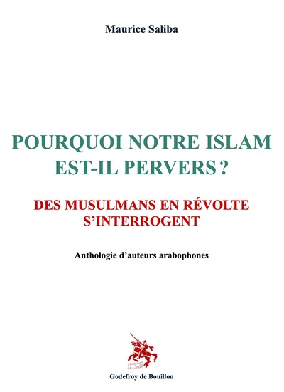 Pourquoi notre islam est-il pervers ? : des musulmans en révolte s'interrogent : anthologie d'auteurs arabophones