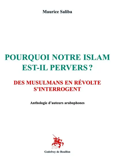 Pourquoi notre islam est-il pervers ? : des musulmans en révolte s'interrogent : anthologie d'auteurs arabophones