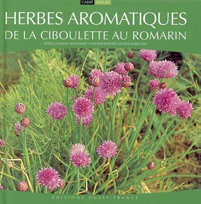 Herbes aromatiques : de la ciboulette au romarin...