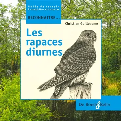 Reconnaître... les rapaces diurnes : guide de terrain à compléter et colorier