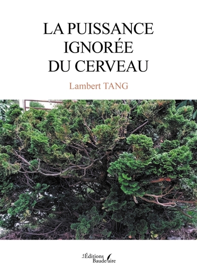 La puissance ignorée du...