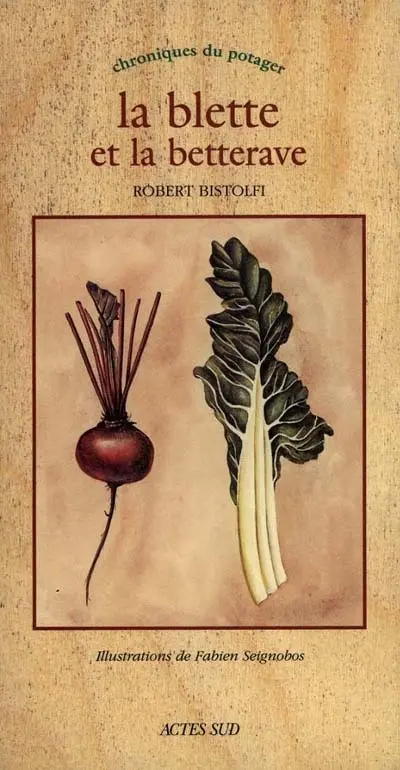 La blette et la betterave