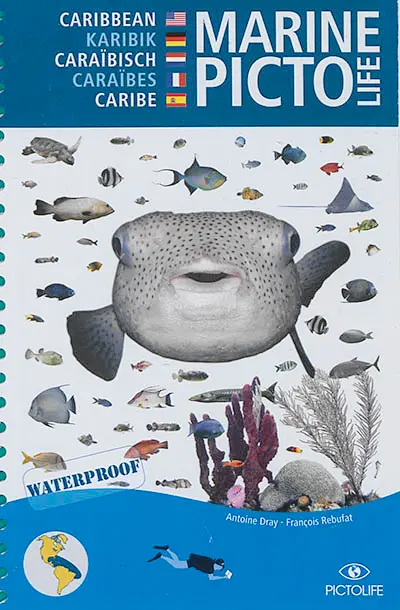 Marine pictolife : Caribbean. Marine pictolife : Karibik. Marine Pictolife : Caraïbes