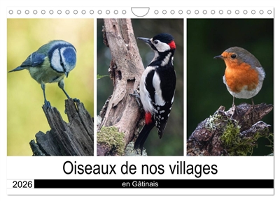 Oiseaux de nos villages en...