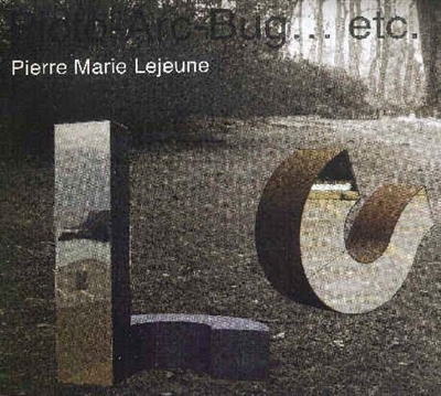Picto-arc-bug... etc. : Pierre-Marie Lejeune