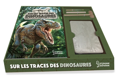 Sur les traces des dinosaures : déterre et reconstitue un squelette de diplodocus