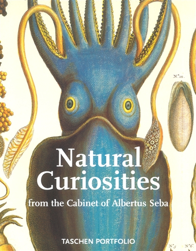 Natural curiosities : from the Cabinet of Albertus Seba