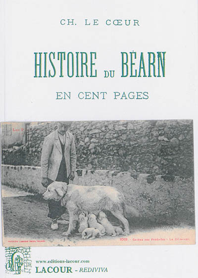 Histoire du Béarn en cent pages