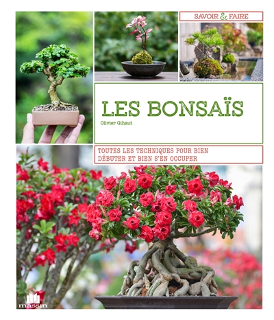 Les bonsaïs : toutes les techniques pour bien débuter et bien s'en occuper