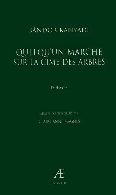 Quelqu'un marche sur la cime des arbres : poèmes