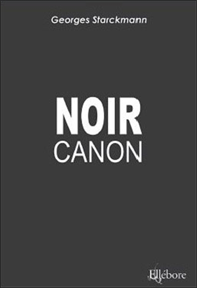 Noir canon : mémoires d'un marchand d'armes