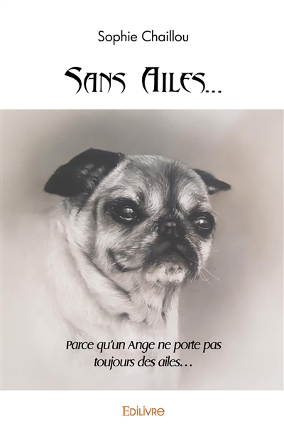 Sans ailes… : Parce qu’un...