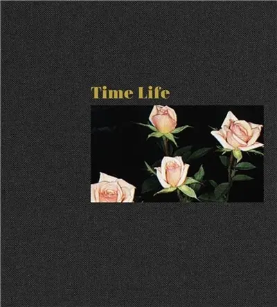Mungo Thomson : Time Life