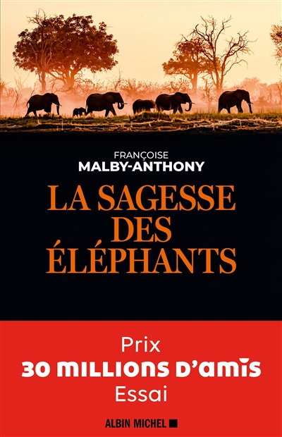 La sagesse des éléphants