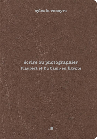 Ecrire ou photographier : Flaubert et Du Camp en Egypte