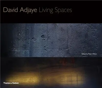 David Adjaye Living Spaces