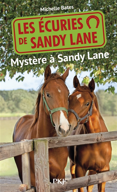 Les écuries de Sandy Lane. Vol. 3. Mystère à Sandy Lane