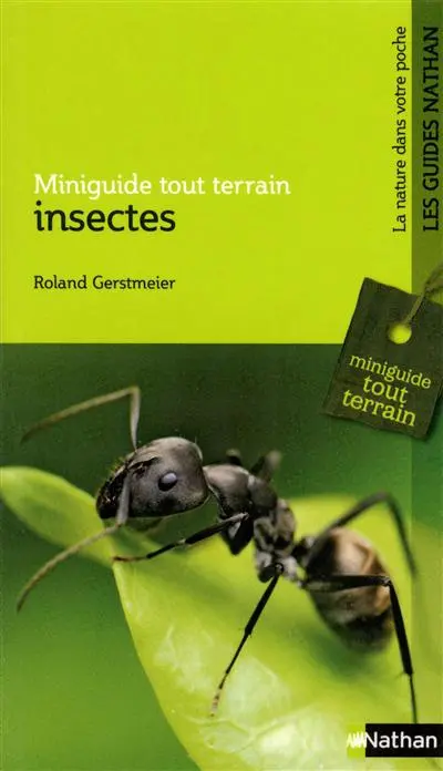 Insectes