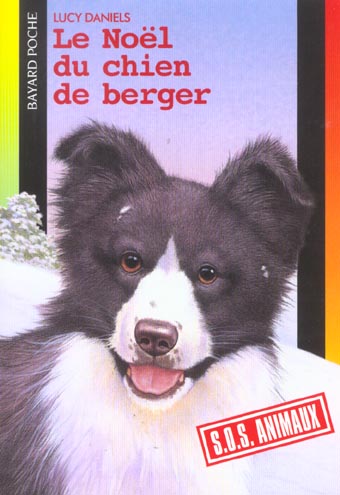 Le Noel du chien de berger