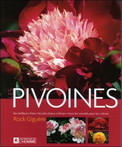 Les pivoines : les meilleurs choix, les plus beaux cultivars, tous les conseils pour les cultiver