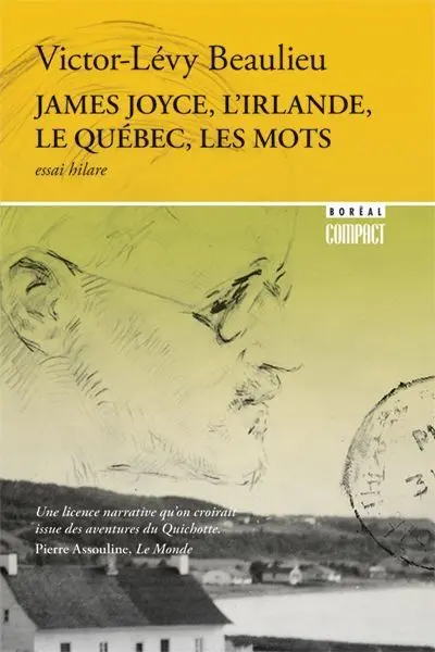 James Joyce, l'Irlande, le Québec, les mots : essai hilare