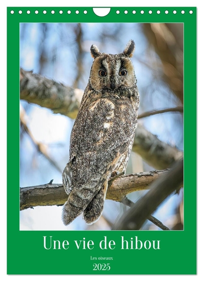 Une vie de hibou les...