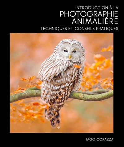 Photographie de nature : guide complet de photographie animalière