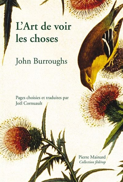 L'art de voir les choses