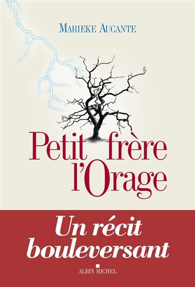 Petit frère l'orage : récit