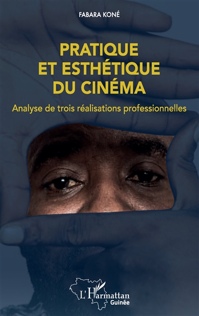 Pratique et esthétique du cinéma : analyse de trois réalisations professionnelles