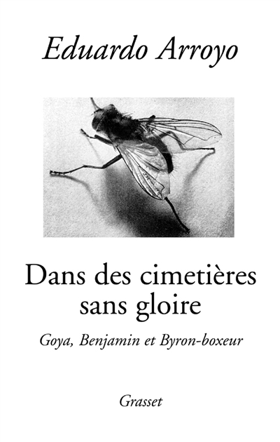 Dans des cimetières sans gloire : Goya, Benjamin et Byron-boxeur