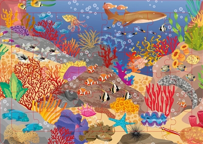 Récifs coralliens : puzzle 48 pièces