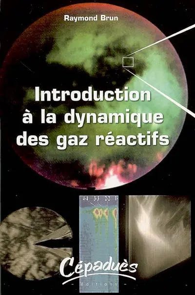 Introduction à la dynamique des gaz réactifs