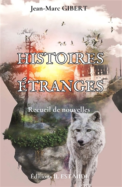 Histoires étranges : recueil de nouvelles