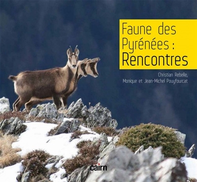 Faune des Pyrénées : rencontres