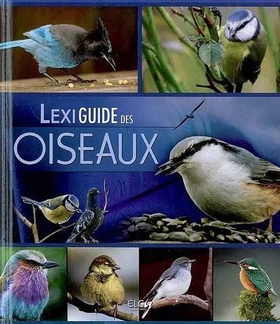 Lexiguide des oiseaux