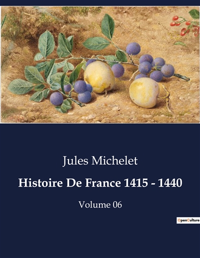 Histoire De France 1415 : 1440 : Volume 06