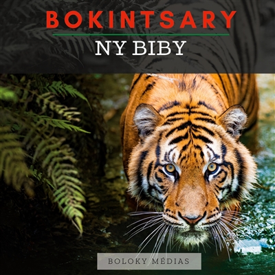 Bokintsary : Ny biby :...