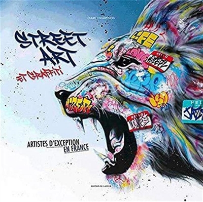 Street art et graffiti : artistes d'exception en France