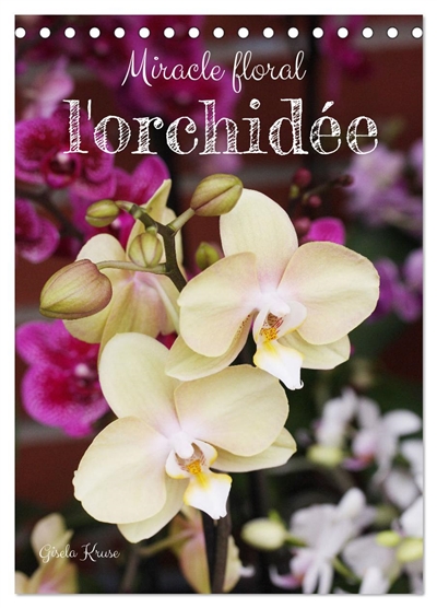 Miracle floral l'orchidée...