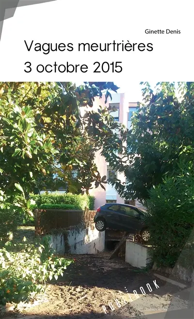 Vagues meurtrieres 3 octobre 2015