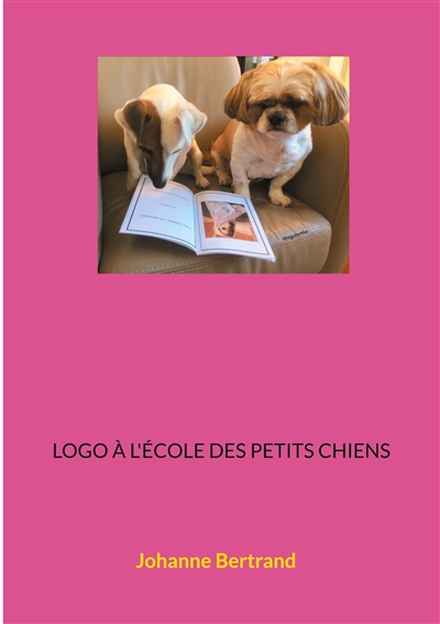 Logo à l'école des petits...