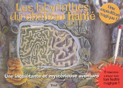 Les labyrinthes du château hanté : une inquiétante et mystérieuse aventure