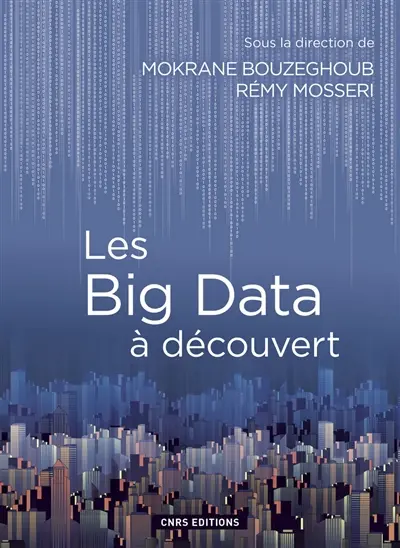 Les big data à découvert : le traitement des données numériques