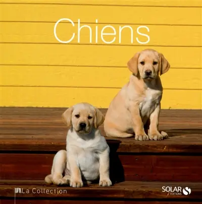 Chiens
