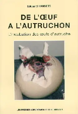 De l'oeuf à l'autruchon : l'incubation des oeufs d'autruche
