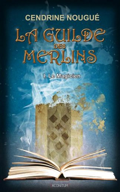 La guilde des Merlins. Vol. 1. Le magicien