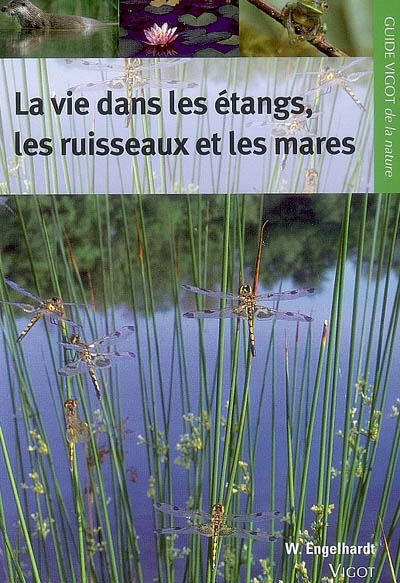 La vie dans les étangs, les ruisseaux et les mares : les plantes et les animaux de chez nous : introduction à la vie des eaux intérieures